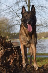 12370933 10153805900454467 7082209928036547195 o