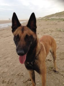 12373223 1625039097761425 2418044685633511012 n