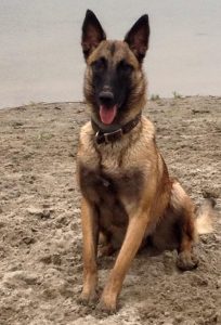 12376140 475492815971143 7779760884802057647 n (1)