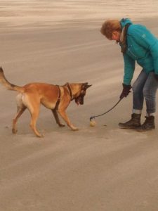 12391981 1625039054428096 5192601630101516058 n