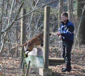 12512363 846520605475124 4872084202237723283 n