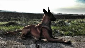 12540830 915188925262701 2797028287871112001 n