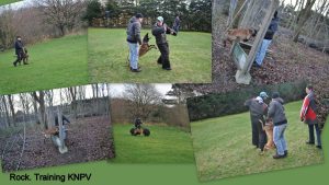 12604784 819692174824634 8731283161433598134 o