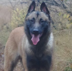 12647448 1701175256766332 5862066378863031839 n