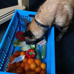 127906855 3540787009374778 7151439888890959838 o