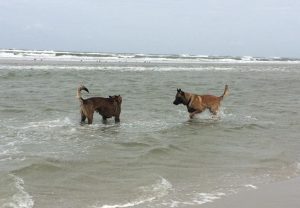 13001330 569562449877832 4601224543159382306 n