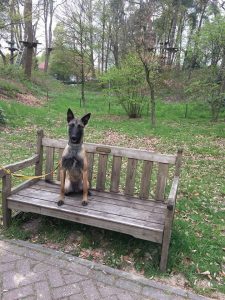 13055365 1012048878887405 8482215882430089613 n