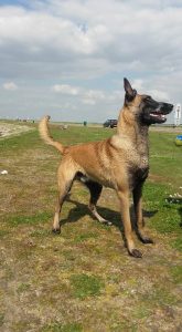 13095890 983406288440964 825728698783765823 n