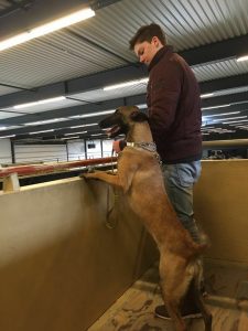 13102634 1012048775554082 3739243238594593567 n