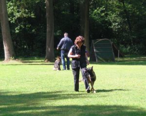 13112833 10201996954603247 1573408521462541046 o