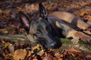 131230554 1741893266014738 1292351819013114504 o