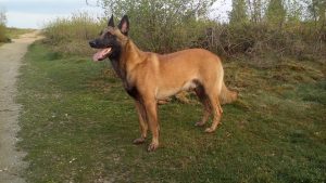 13151972 1018145884906276 8683738850871889994 n