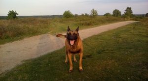 13164317 1018146011572930 3123811768151257566 n