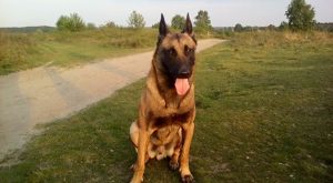 13174200 1018145794906285 3219321272995426941 n