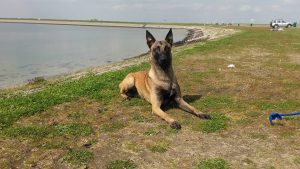 13177551 983406235107636 2310494562825899106 n