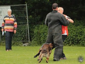 13323385 10208511870466944 729376791351083082 o