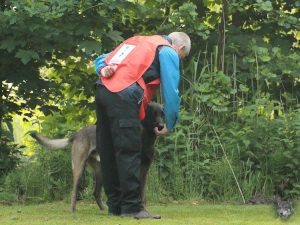 13329548 10208511868106885 7689081446165153532 o