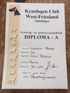 13413102 545270748993349 7968046037602703773 n (1)