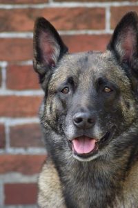 13413736 10154253022969467 7667816004173760902 n