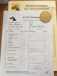 13423837 545270752326682 1679002616433559197 n (1)