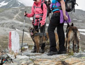 13443127 1094357977277875 1016322454403680275 o