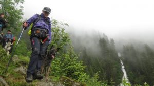 13490648 919113301533140 1631613740794736013 o