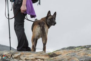 13502884 1094357983944541 229850415870172631 o