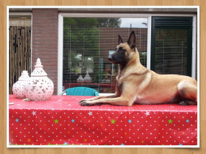 13523818 114878728942918 2050367173 o