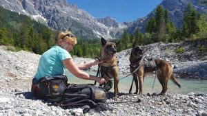 13528871 920972168013920 5052490347947443205 n Dogtrail 2016