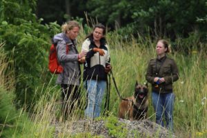 13558817 1213813771984152 2716972212343565819 o