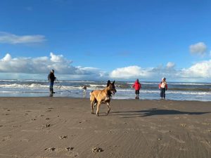 135742799 3638073042979507 8136010759339595254 n