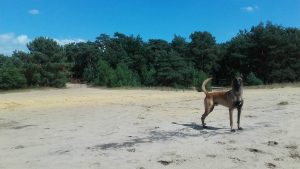 13895429 1039573642824228 6198860791821947611 n