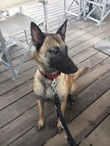 13902575 1115215005215822 7378456121516310818 n