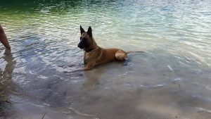 13903320 1827305174165191 6948520583852285496 n