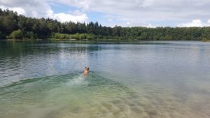 13912403 1827305227498519 1859862318525979566 n