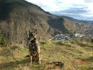 1391601 10151993330029467 1252780967 n