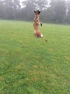 13924964 1149368645126404 9218881158700891220 n