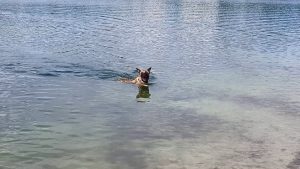 13938341 1827305280831847 6438581653611816813 n