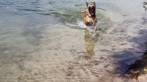 13938353 1827305207498521 52866662040599762 n