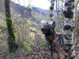 1395251 10151993330009467 1949786986 n