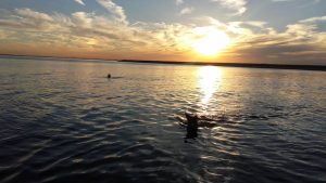 14063867 1059167964198129 2635675856057599495 n