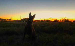 14102217 1057497464365179 2594262344055562023 n 1