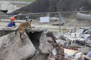 1412707 660306290683333 3181909285644417983 o