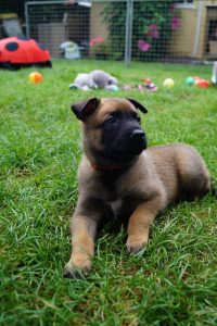 14310583 871741462955757 5571750610216207548 o (1)