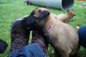 14362717 871741459622424 3731114249314343200 o (1)