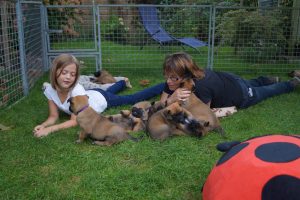 14380167 871741799622390 9040957757431345946 o (1)