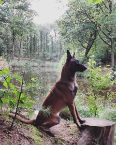 14441049 1088924167889175 3519249518599190459 n