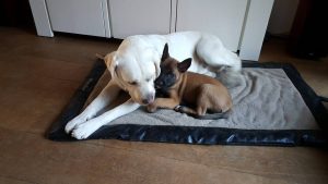 14445971 194563297644578 9071443563957047443 n