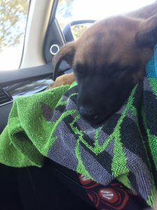 14469610 10157469085705007 9033202912407060786 n