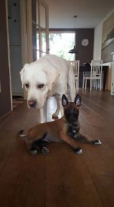 14479622 194544440979797 2391214490073366200 n